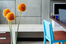 Thuiswerken: Hoe zorg je voor de beste fysieke en digitale thuiswerkplek